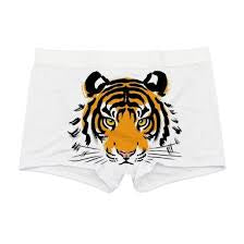 Men’s Custom Printed Boxer Trunks – Fully Personalised Front & Back – Stretchy & Comfortable – Sizes UK XS to UK Large